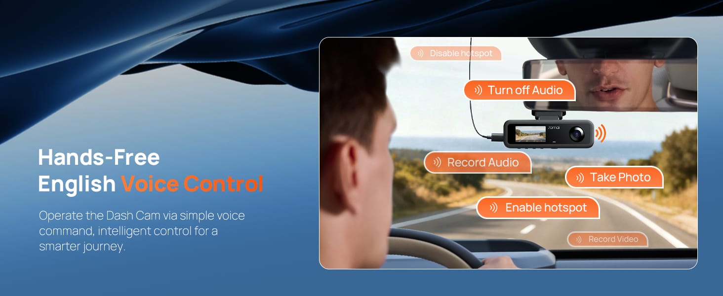 Voice control